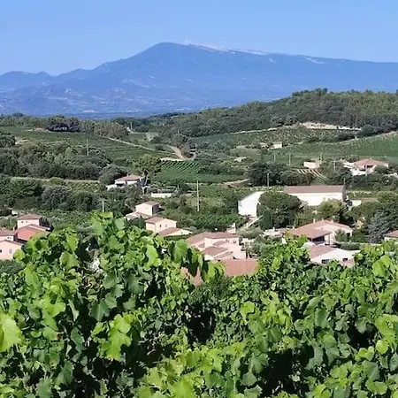 Maison De Village Châteauneuf-du-Pape Exterior foto